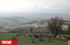 Место исполнения желаний "Дири-баба", жены хана в "Йедди Гюмбез" -  WeekEnd в Шамахы...(ФОТО)