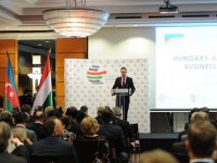 Президент Ильхам Алиев призвал венгерские компании наладить тесное сотрудничество с Азербайджаном (ФОТО)
