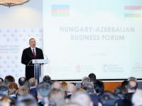 Президент Ильхам Алиев призвал венгерские компании наладить тесное сотрудничество с Азербайджаном (ФОТО)
