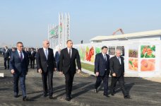 Президент Ильхам Алиев принял участие в церемонии закладки фундамента «Шамкир Агропарка» (ФОТО)