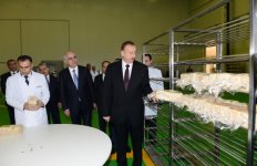 В Шамкире состоялось открытие нового хлебозавода (ФОТО)