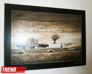 "Краски Турции" в Баку - чеканка по металлу, керамика, вышивка (ФОТО)