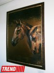 Карабахские скакуны глазами латвийской художницы Аллы Дзевалтовской (ФОТО)