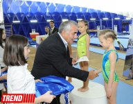 В Азербайджане возрождается спортивная гимнастика (ФОТО)