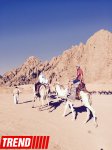 Из Баку в Шарм-эль-Шейх, жемчужину Красного моря (ФОТО)