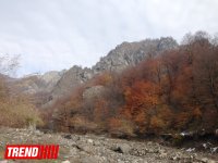 Неизведанный Азербайджан: "Замок сорока девушек" – гарем Ширванских ханов (ФОТО)