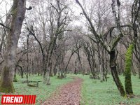 Неизведанный Азербайджан: Мавзолеи шейхов XV-XVI веков в Габале (ФОТО)