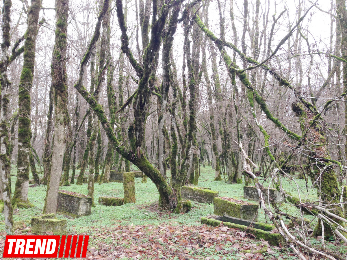 Неизведанный Азербайджан: Мавзолеи шейхов XV-XVI веков в Габале (ФОТО)