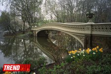 Нью-Йорк глазами азербайджанца: Страна чудес, белки, фаэтоны (ФОТО, часть 4)