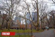 Нью-Йорк глазами азербайджанца: Страна чудес, белки, фаэтоны (ФОТО, часть 4)