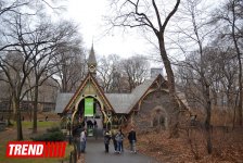 Нью-Йорк глазами азербайджанца: Страна чудес, белки, фаэтоны (ФОТО, часть 4)