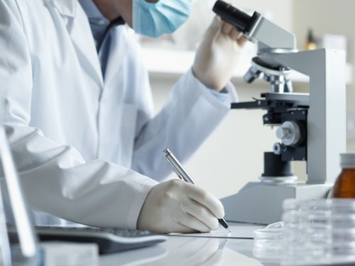 Германия может поделиться с Азербайджаном опытом в сфере здравоохранения