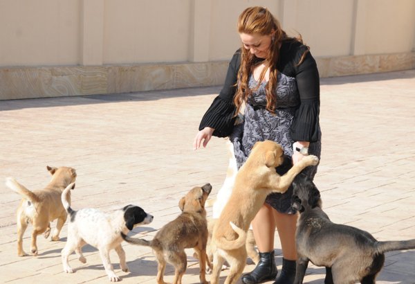 One day in Azerbaijan's Animal Rescue Center in Baku - (PHOTOS)