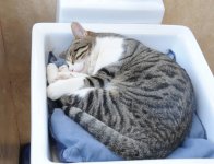 One day in Azerbaijan's Animal Rescue Center in Baku - (PHOTOS)