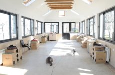 One day in Azerbaijan's Animal Rescue Center in Baku - (PHOTOS)