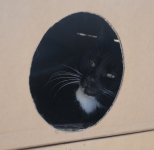 One day in Azerbaijan's Animal Rescue Center in Baku - (PHOTOS)
