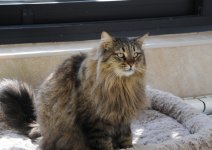 One day in Azerbaijan's Animal Rescue Center in Baku - (PHOTOS)