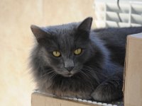 One day in Azerbaijan's Animal Rescue Center in Baku - (PHOTOS)