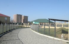 One day in Azerbaijan's Animal Rescue Center in Baku - (PHOTOS)