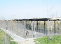 One day in Azerbaijan's Animal Rescue Center in Baku - (PHOTOS)