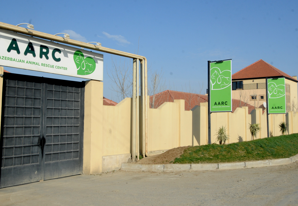 One day in Azerbaijan's Animal Rescue Center in Baku - (PHOTOS)