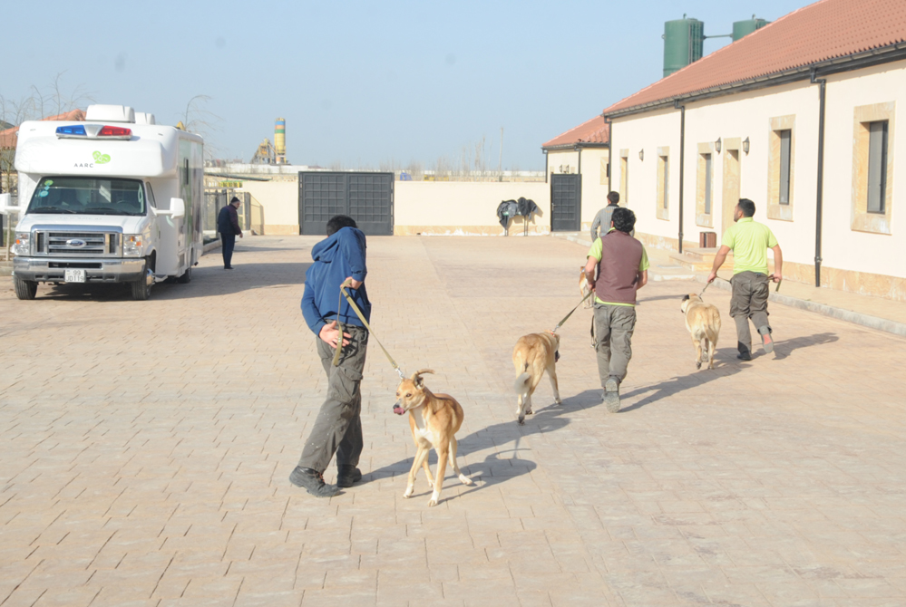 One day in Azerbaijan's Animal Rescue Center in Baku - (PHOTOS)