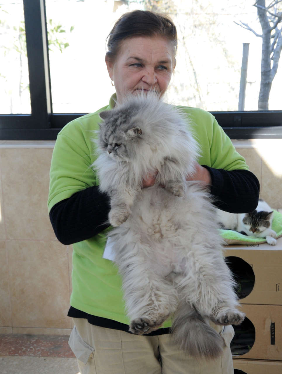 One day in Azerbaijan's Animal Rescue Center in Baku - (PHOTOS)