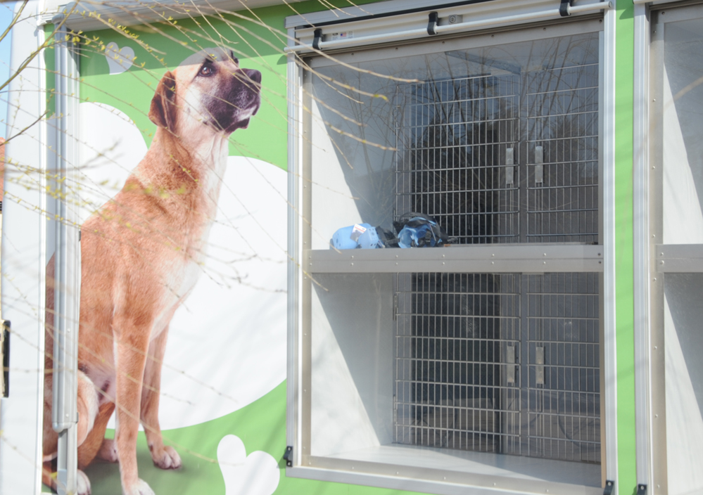 One day in Azerbaijan's Animal Rescue Center in Baku - (PHOTOS)
