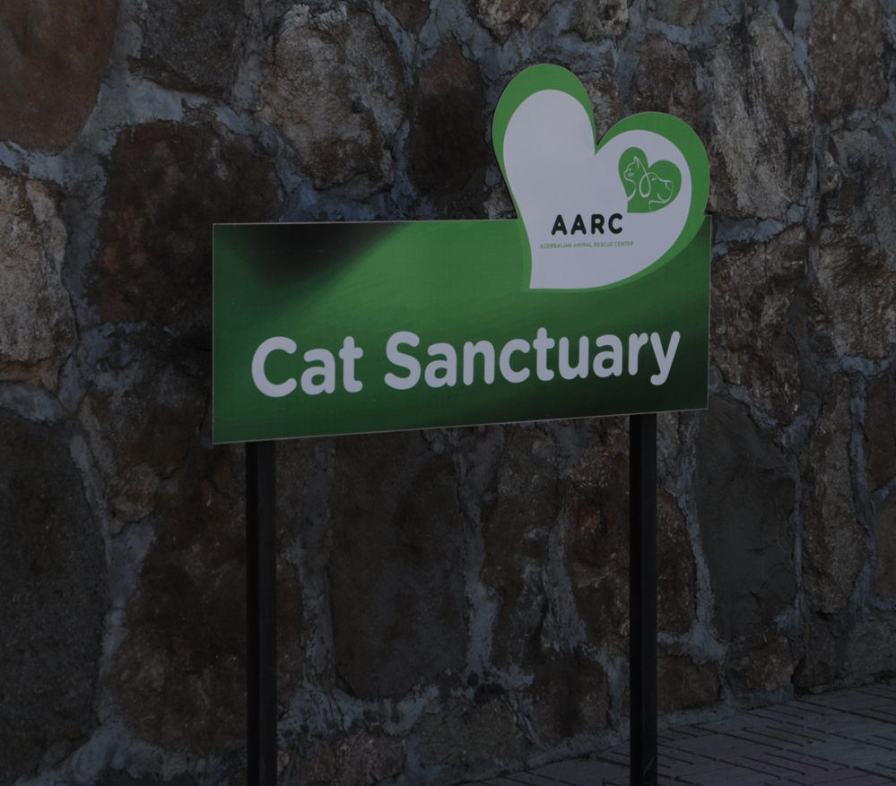 One day in Azerbaijan's Animal Rescue Center in Baku - (PHOTOS)