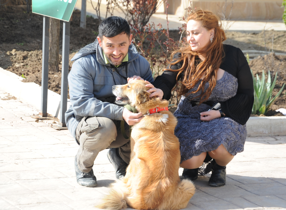 One day in Azerbaijan's Animal Rescue Center in Baku - (PHOTOS)