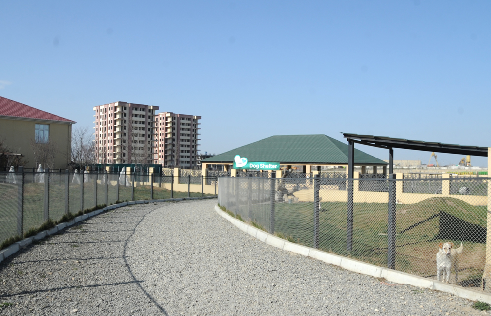 One day in Azerbaijan's Animal Rescue Center in Baku - (PHOTOS)