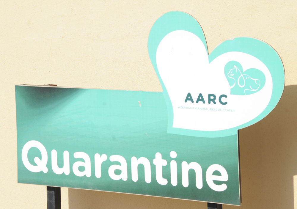 One day in Azerbaijan's Animal Rescue Center in Baku - (PHOTOS)