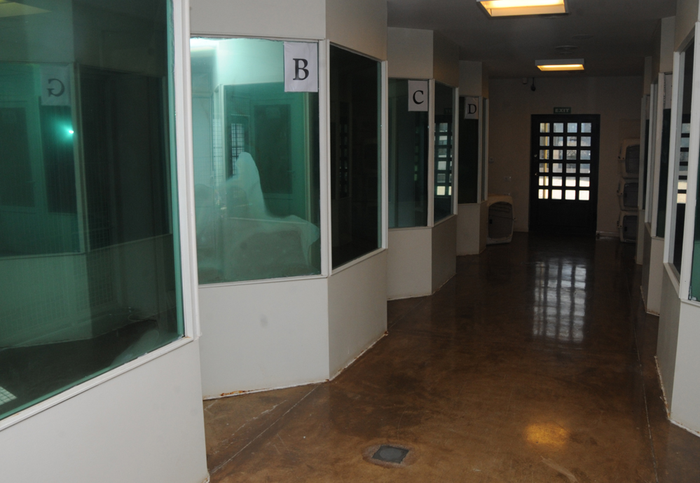 One day in Azerbaijan's Animal Rescue Center in Baku - (PHOTOS)