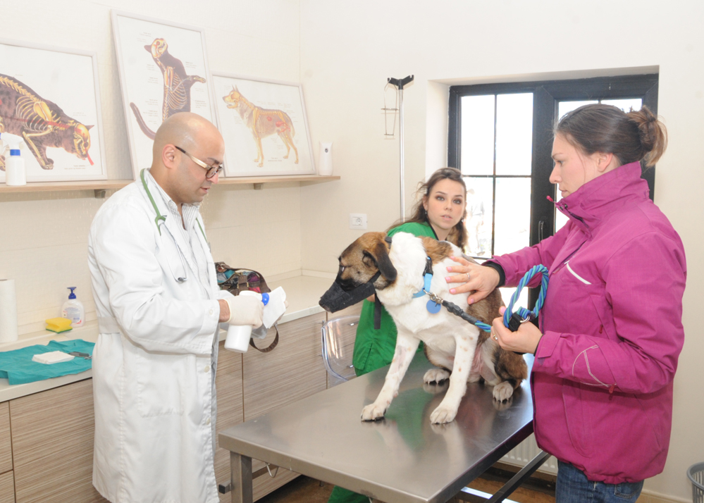 One day in Azerbaijan's Animal Rescue Center in Baku - (PHOTOS)
