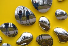 Волшебная страна тюльпанов в Амстердаме - лучше один раз увидеть! (ФОТО)