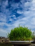 Выставка "Весенние сюжеты": вся красота бакинской весны (ФОТО)