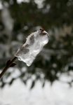 Выставка "Весенние сюжеты": вся красота бакинской весны (ФОТО)
