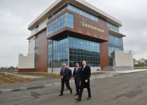 Азербайджан будет поставлять свой чай на мировые рынки - Президент Ильхам Алиев (ФОТО)