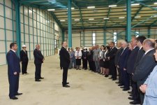 Азербайджан будет поставлять свой чай на мировые рынки - Президент Ильхам Алиев (ФОТО)