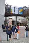 Бельгия: в столице Европы - на родине вафель, картофеля фри и капусты (ФОТО)