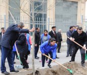 В Баку по инициативе Лейлы Алиевой состоялась озеленительная акция (ФОТО)