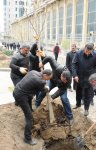 В Баку по инициативе Лейлы Алиевой состоялась озеленительная акция (ФОТО)