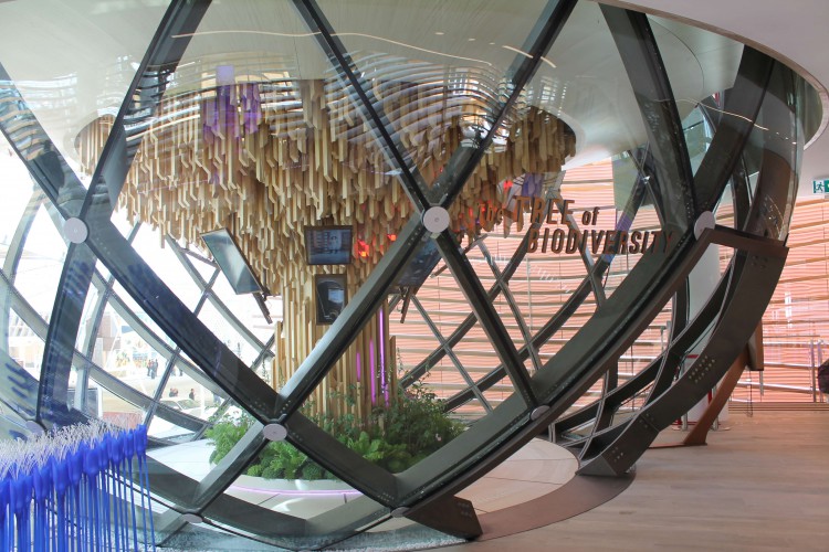Азербайджанский павильон самый лучший на "Milan Expo 2015" (ФОТО)