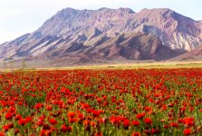 Tomb of Noah and 4 more reasons to visit Nakhchivan during European Games