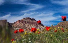 Tomb of Noah and 4 more reasons to visit Nakhchivan during European Games