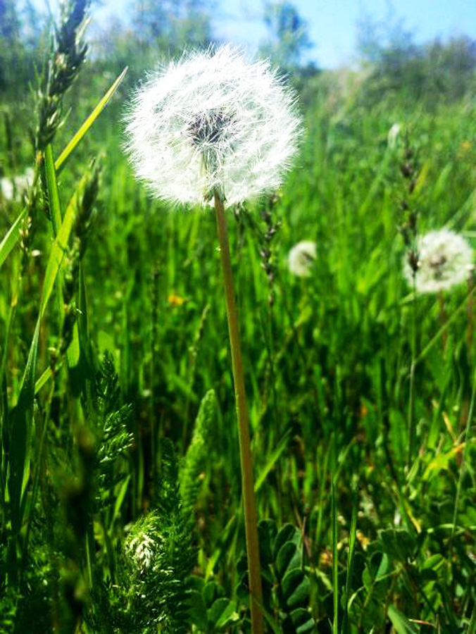 Tomb of Noah and 4 more reasons to visit Nakhchivan during European Games
