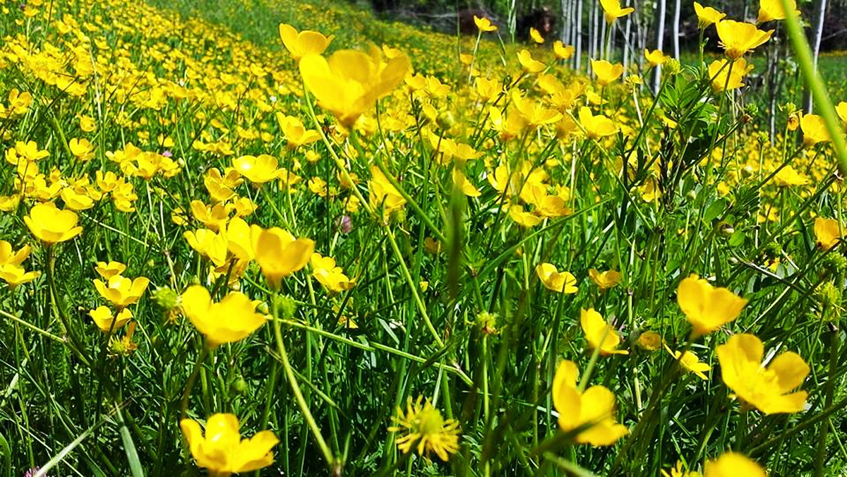 Tomb of Noah and 4 more reasons to visit Nakhchivan during European Games