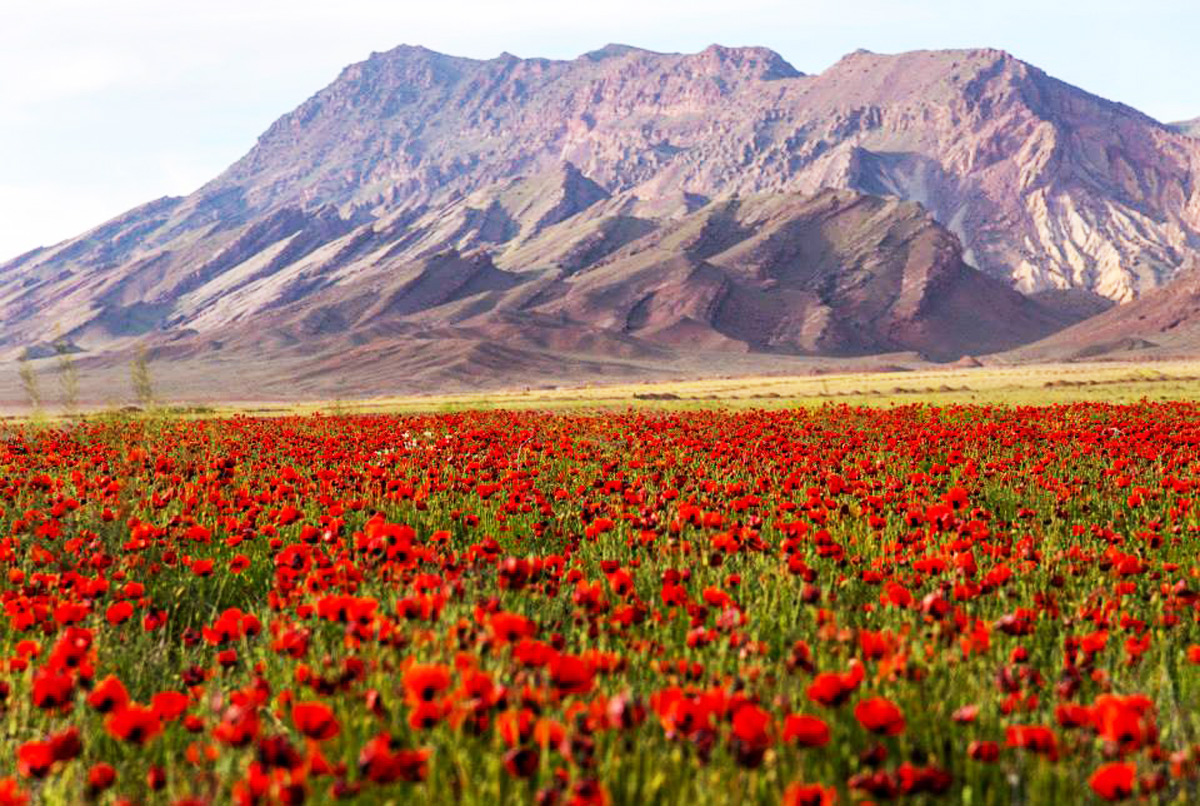 Tomb of Noah and 4 more reasons to visit Nakhchivan during European Games