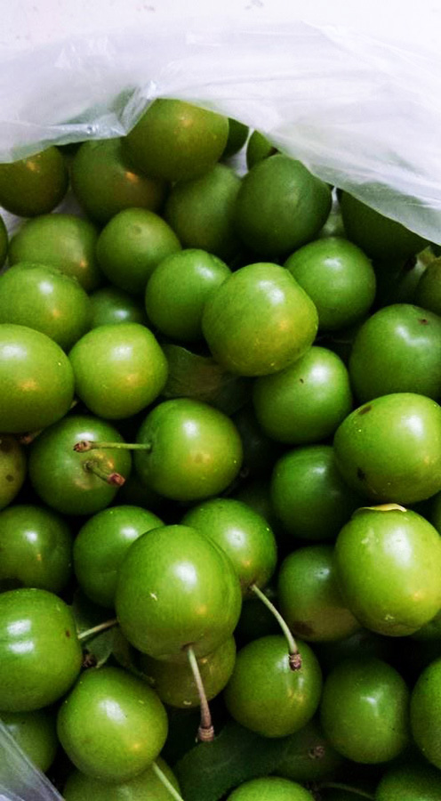 Tomb of Noah and 4 more reasons to visit Nakhchivan during European Games