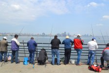 Гости Евроигр смогут порыбачить в Каспийском море (ФОТО)